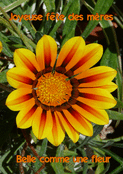 F&ecirc;te des m&egrave;res rayonnante comme une fleur